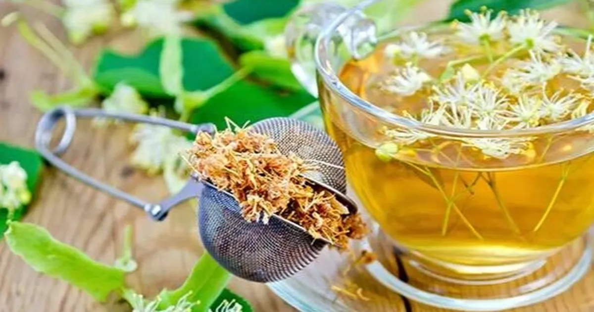  İstanbul'da Üsküdar Üniversitesi Sağlık Hizmetleri Meslek Yüksekokulu Tıbbi ve Aromatik