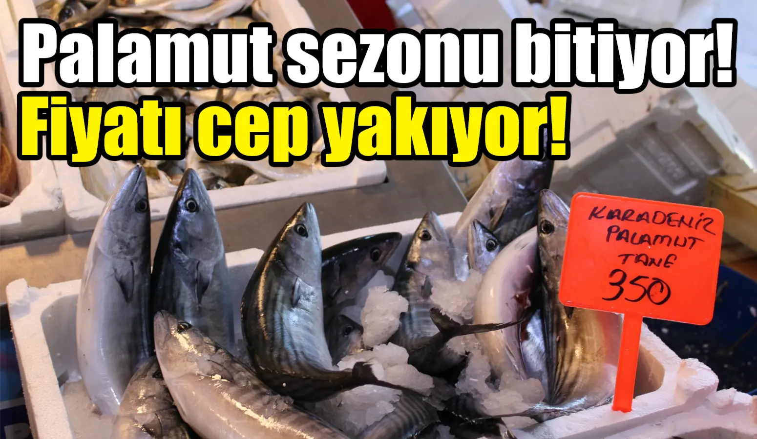 Muğla Menteşe Perşembe Pazarında balık fiyatları Kasım ayında artış gösterdi.