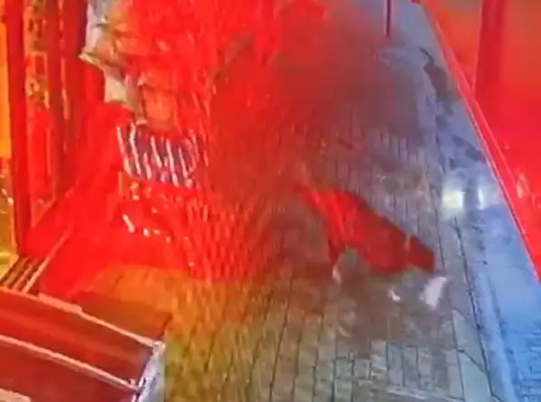 Aydın'ın Efeler ilçesinde bir büfe önündeki stanttan köpeğin cips çalması