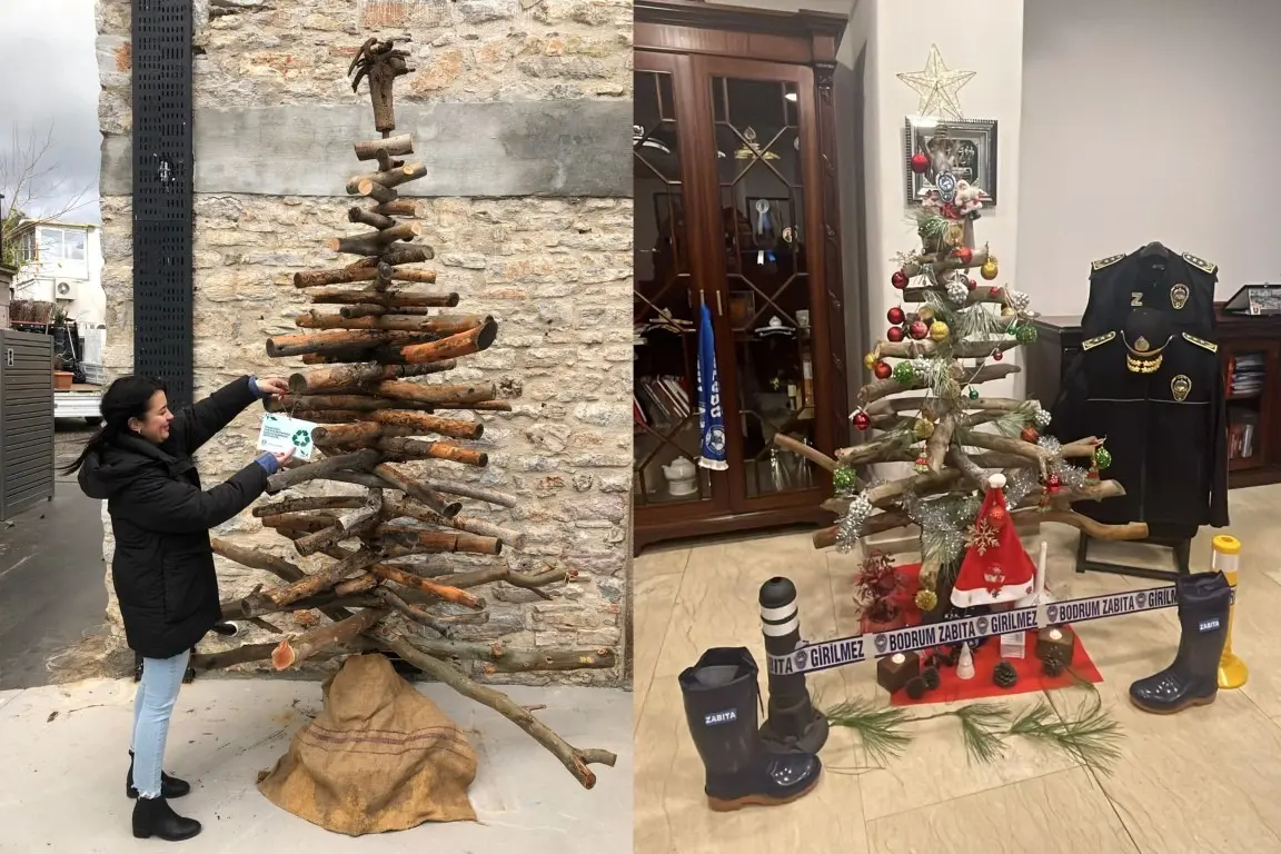 Bodrum Belediyesi, yeni yıl süslemeleri kapsamında ağaç budama çalışmalarından arta