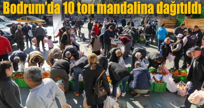 “Üreticimizden Alıyoruz, Halkımızla Buluşturuyoruz Projesi” kapsamında Bodrum mandalin dağıtımı Bodrum