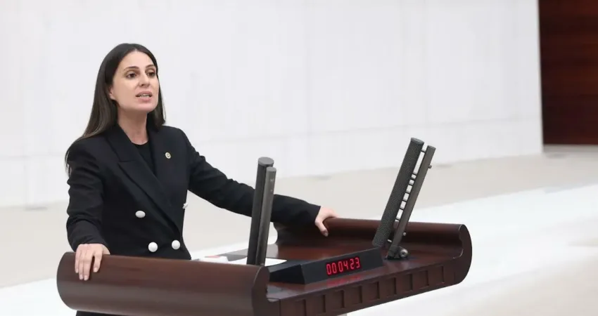 Muğla Milletvekili Avukat Gizem Özcan, yeni yıl dolayısıyla yayımladığı mesajda,