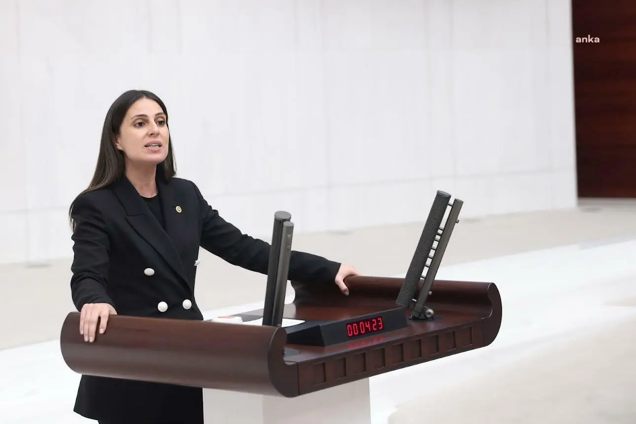 Muğla Milletvekili Avukat Gizem Özcan, yeni yıl dolayısıyla yayımladığı mesajda,