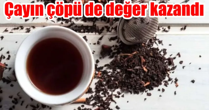 Çayın çöpü de değer kazandı Rize'de çay çöpünden üretilen mangal kömürü, pelet, çay sirkesi, metan