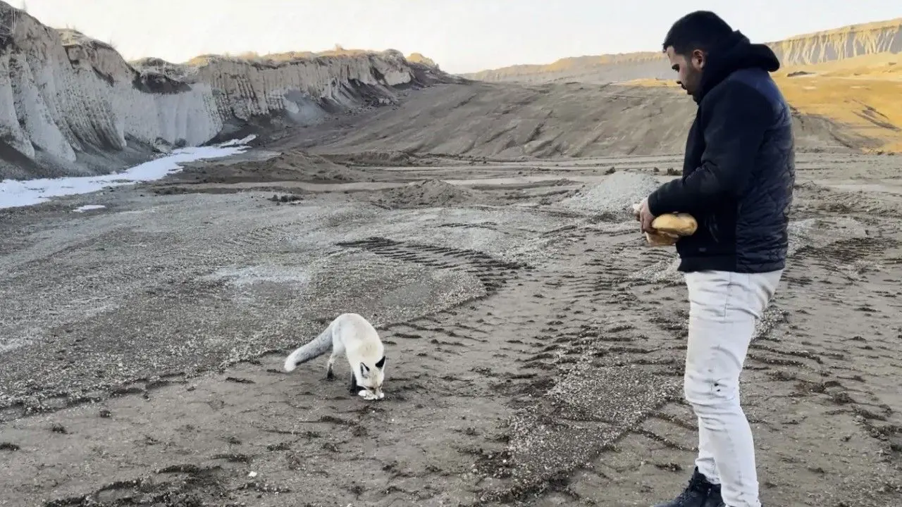 Bitlis'in Ahlat ilçesindeki bir pomza madeni çalışanları, 2 yıldır dostluk