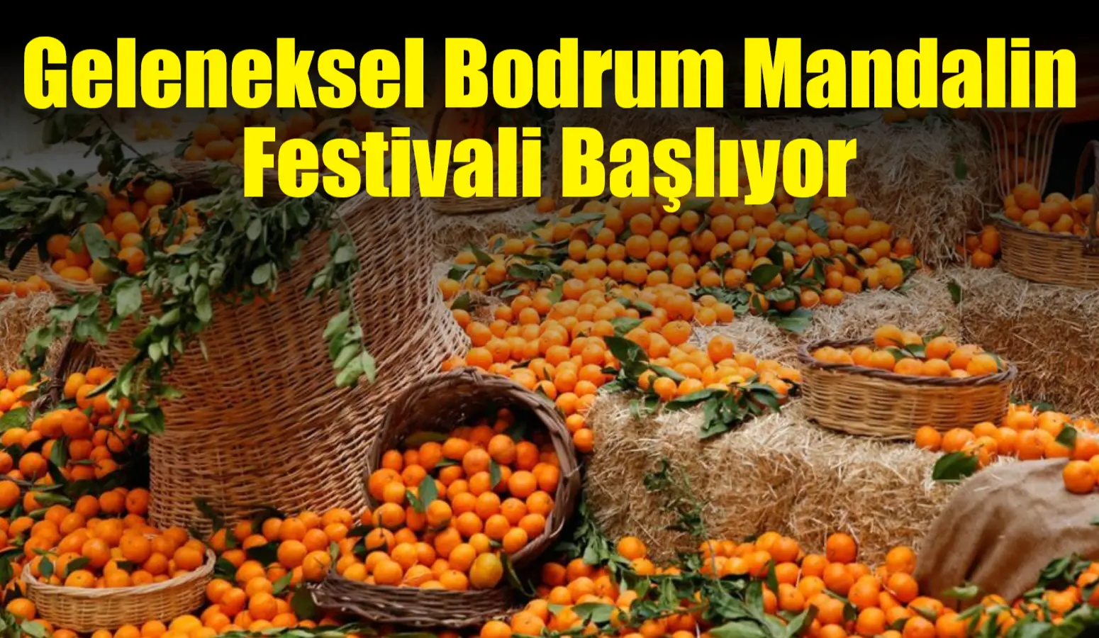 Bitez’de her yıl mandalin hasat döneminde farkındalık yaratmak için düzenlenen