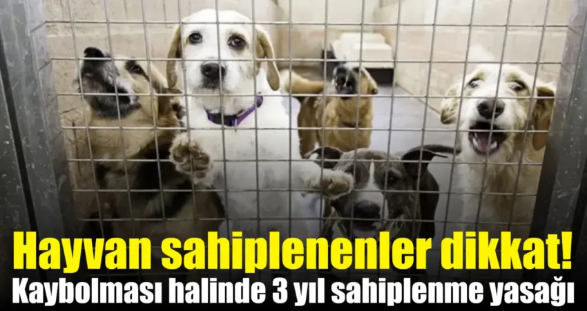 Tarım ve Orman Bakanlığı, ev hayvanlarının sahiplenme şartları ile sahipsiz