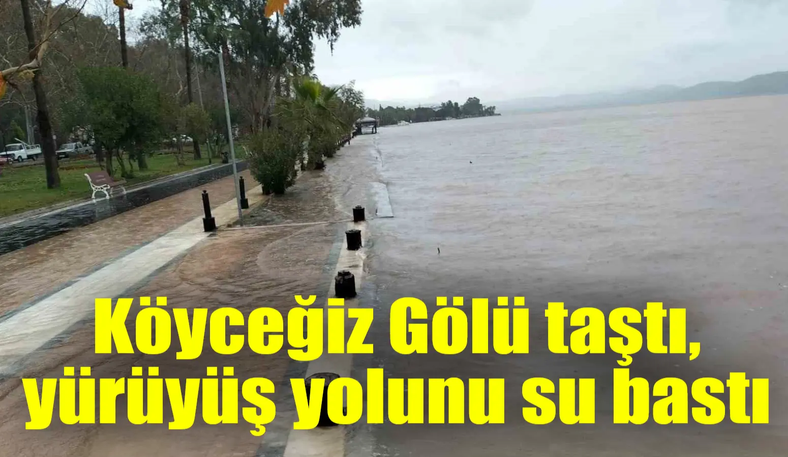 Muğla’nın Köyceğiz ilçesinde 3 günden bu yana aralıklarla devam eden