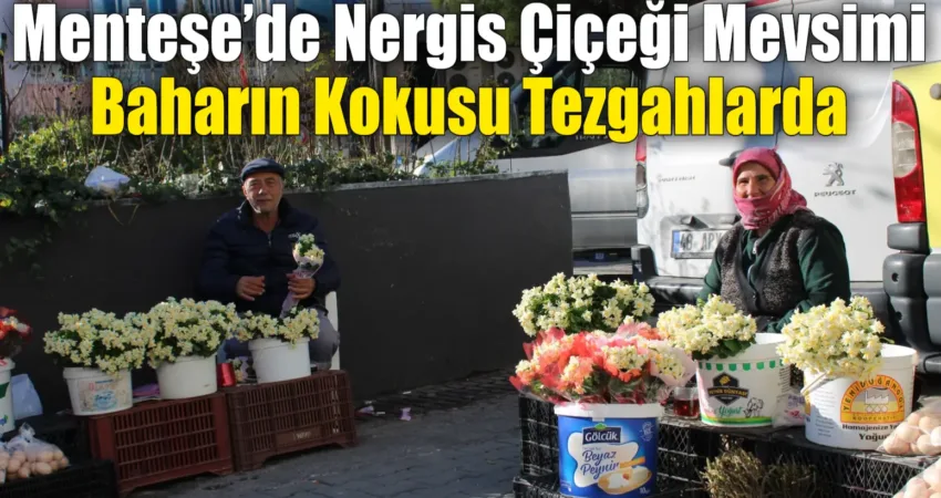 Menteşe’de Nergis Çiçeği Mevsimi: Baharın Kokusu Tezgahlarda Muğla’nın güzelliklerinden biri olan nergis çiçeği mevsimi başladı. Menteşe Kapalı