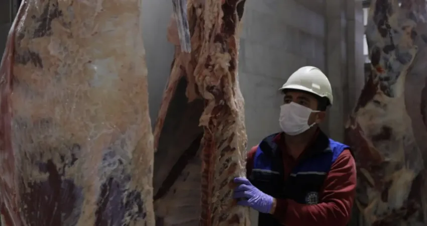 Muğla Büyükşehir Modern Mezbahaları ile Güvenilir Hizmet Veriyor Muğla Büyükşehir Belediyesi’ne ait modern ve hijyenik koşullarda vatandaşlara hizmet