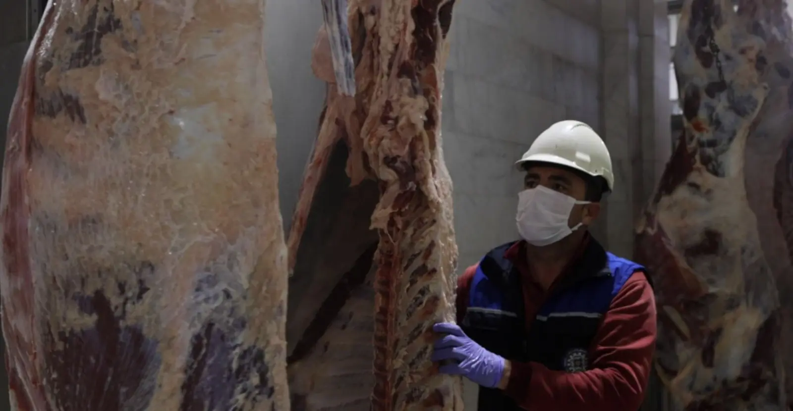 Muğla Büyükşehir Belediyesi’ne ait modern ve hijyenik koşullarda vatandaşlara hizmet