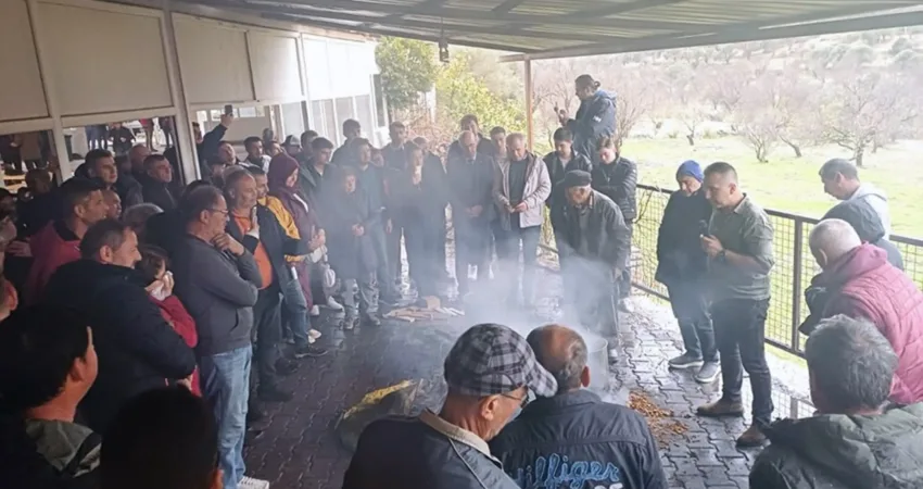 Muğla Büyükşehir’den badem biti ve zeytin zararlılarıyla mücadele Datça’nın önemli gelir kaynaklarından birisi olan badem ağaçlarında görülen badem