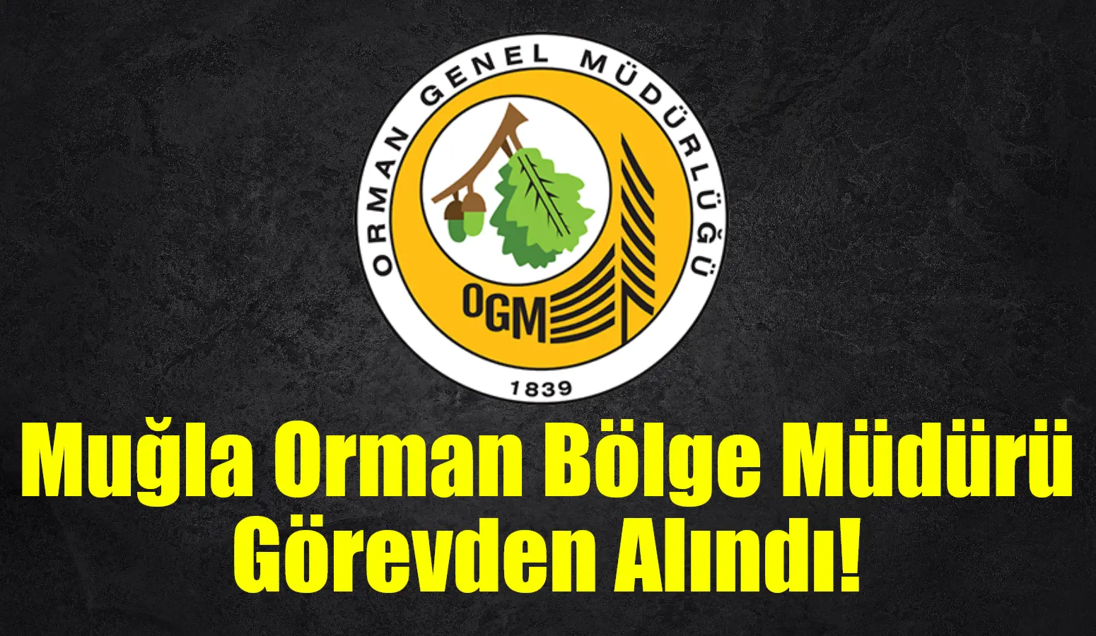 Konuya ilişkin karar, Cumhurbaşkanı Recep Tayyip Erdoğan'ın imzasıyla Resmi Gazete'de