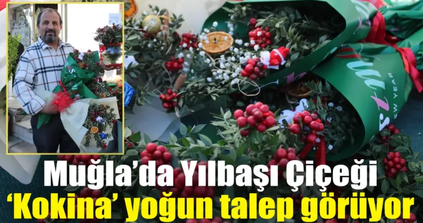 Halk arasında şans, bereket getirdiğine inanılan ve 'yılbaşı çiçeği' olarak