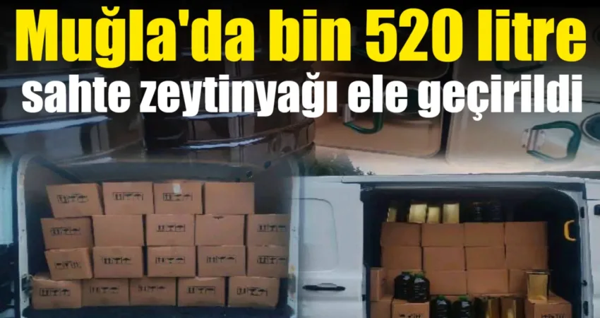 Muğla’da bin 520 litre sahte zeytinyağı ele geçirildi Muğla'da jandarmanın düzenlediği operasyonda bin 520 litre sahte zeytinyağı ele