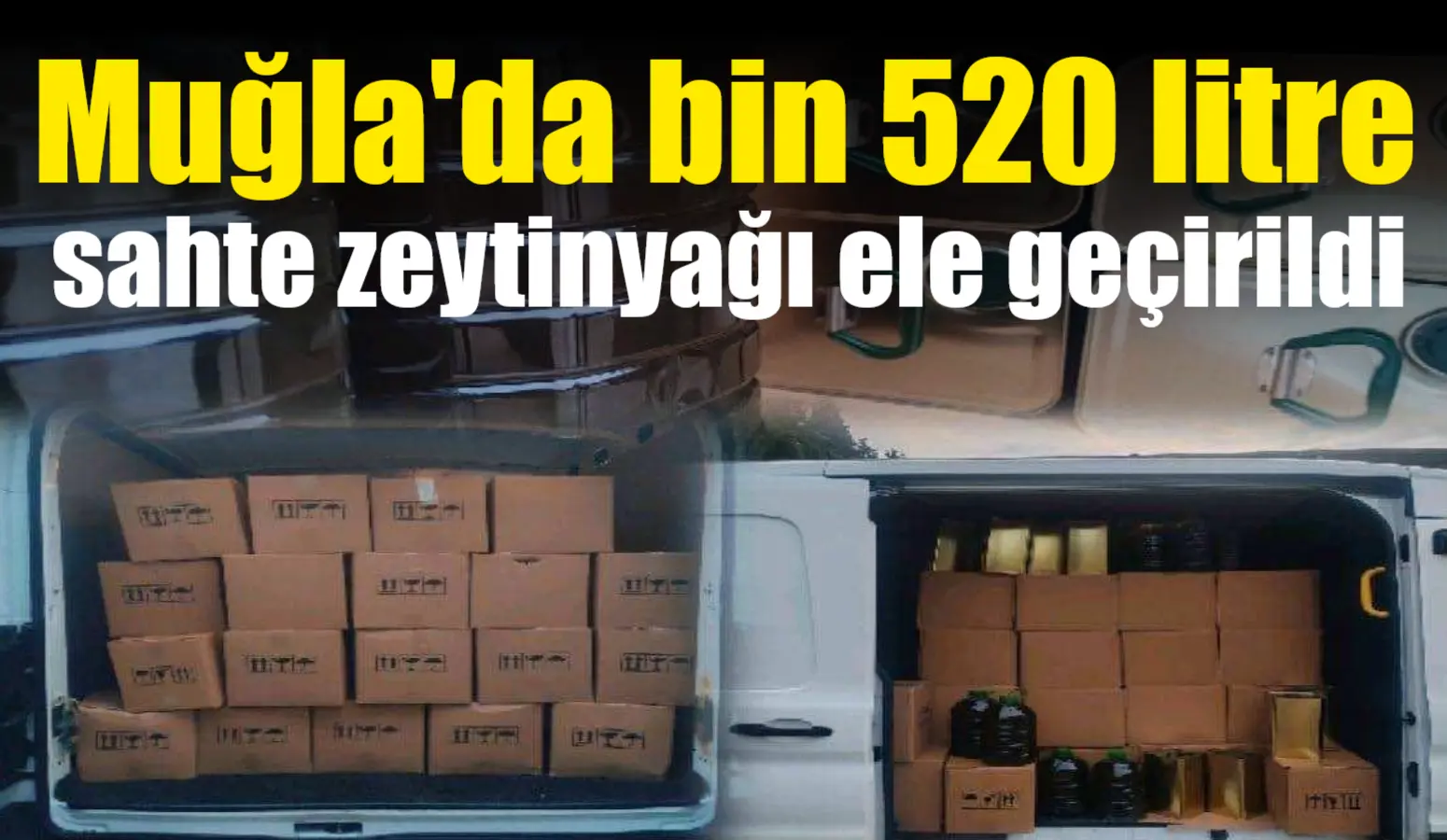 Muğla'da jandarmanın düzenlediği operasyonda bin 520 litre sahte zeytinyağı ele