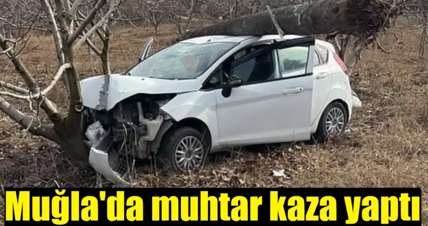 Muğla’nın Menteşe ilçesi kırsal Fadıl Mahalle muhtarı Barış Akgül Ula