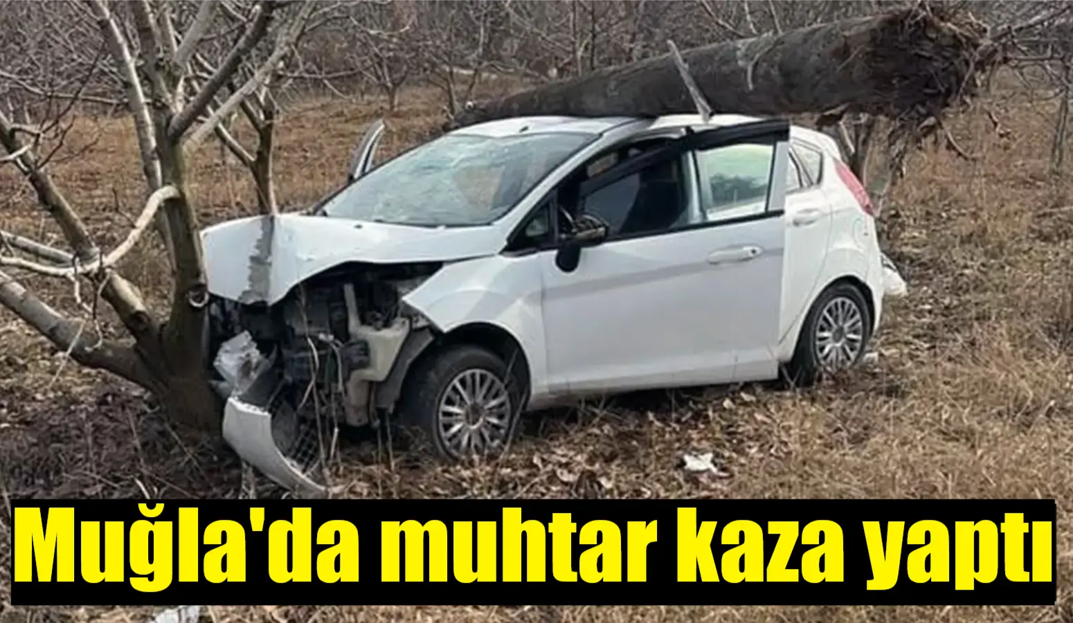 Muğla’nın Menteşe ilçesi kırsal Fadıl Mahalle muhtarı Barış Akgül Ula