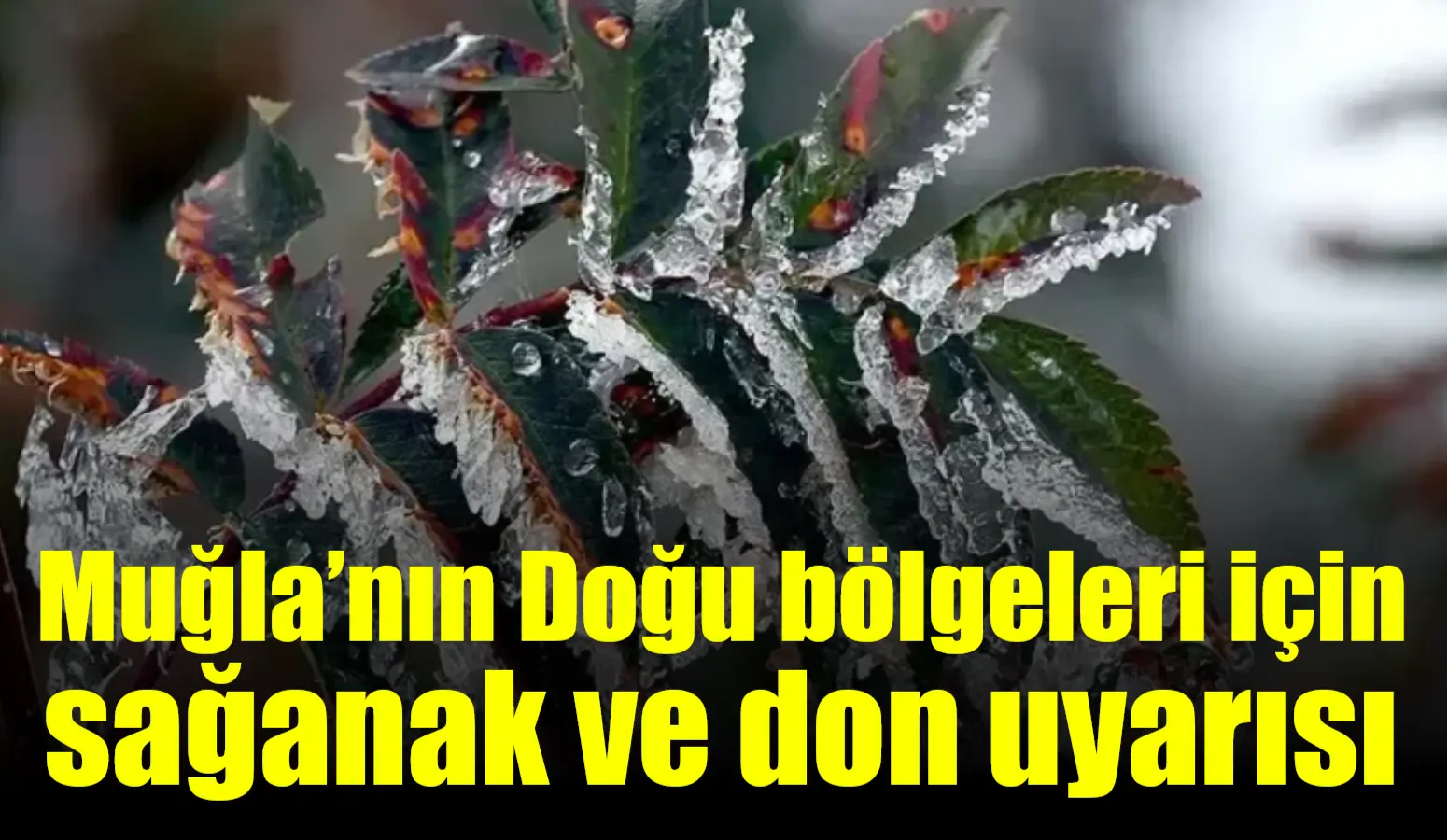 Meteoroloji 4. Bölge Müdürlüğü Bölge Tahmin ve Uyarı Merkezinden yapılan