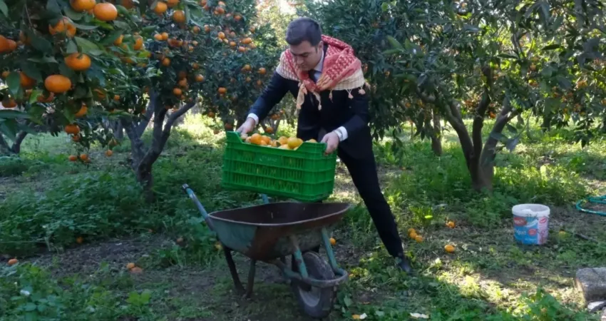 Bodrum Belediyesi, coğrafi işaretli Bodrum mandalini üretimini desteklemek ve yerel