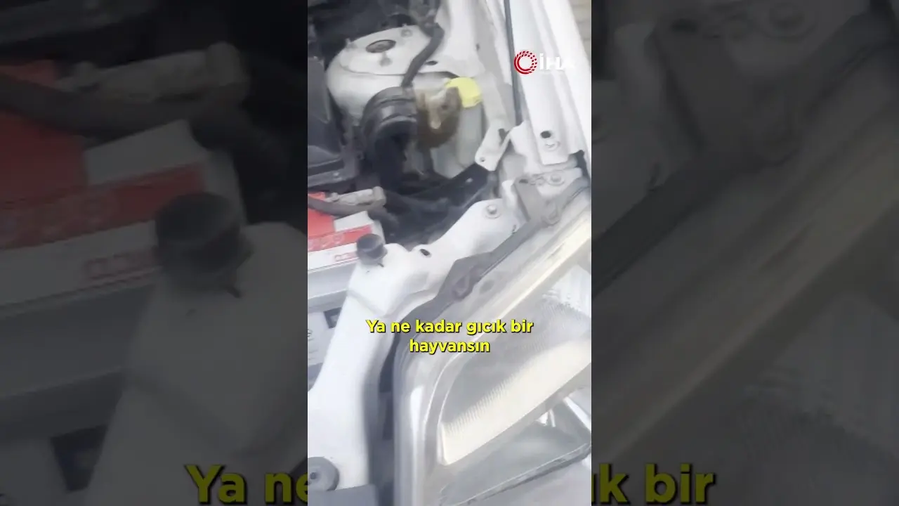 Antalya'da bir vatandaş seyir halindeyken aracının devir kaybetmesinin ardından motor