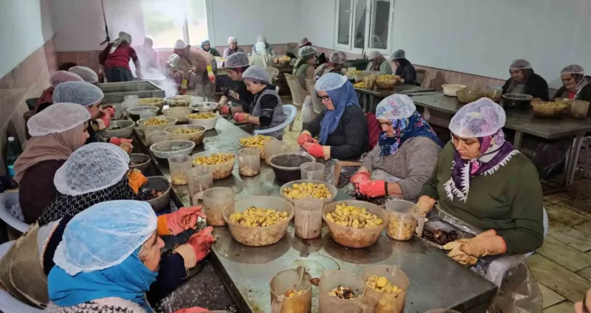 Aydın’ın Nazilli ilçesinde 18 yıl önce üretmeye başladığı kestane şekerini,