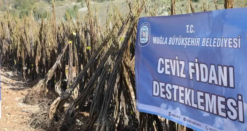 ‘Her Kapıda Bir Fidan Projesi’ Menteşe’de başlıyor Muğla’da yaşanan orman yangınları sonrası üreticilerin, vatandaşların zarar gören bahçeleri