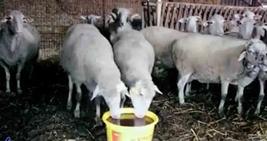 2024 yılında Tarım ve Orman Bakanlığı Eğitim ve Yayın Dairesi