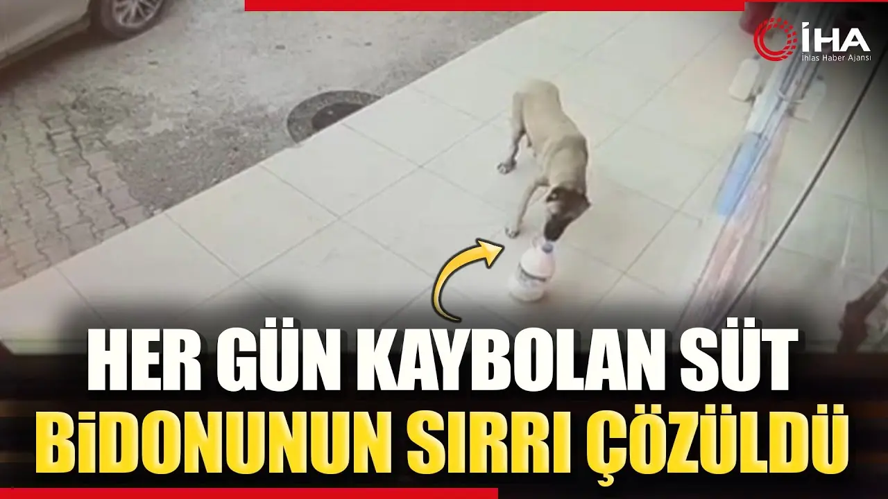 Yozgat’ın Akdağmadeni ilçesinde marketin kapısından kaybolan süt bidonunun ardından duygulandıran