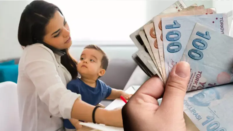 Eğitimli Çocuk Bakıcılarının Teşviki Yoluyla Kayıtlı Kadın İstihdamının Desteklenmesi Projesi'nde