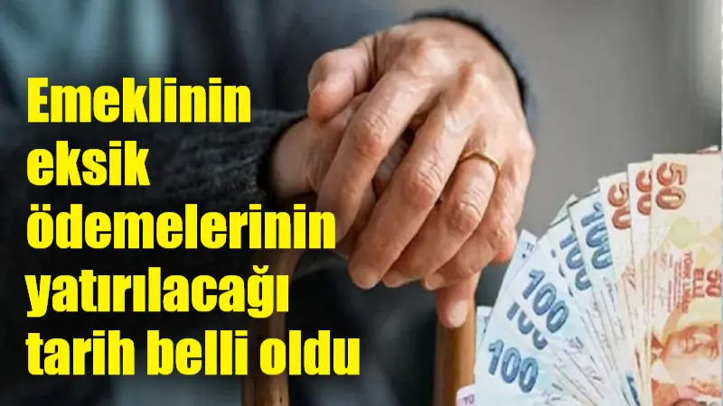 Çalışma ve Sosyal Güvenlik Bakanı Vedat Işıkhan, en düşük emekli