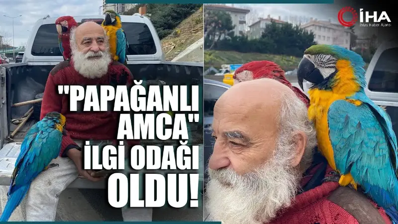 İstanbul'un Beykoz ilçesinde omzunda papağanlarıyla gezen İsmail Karamustafa (70), vatandaşların