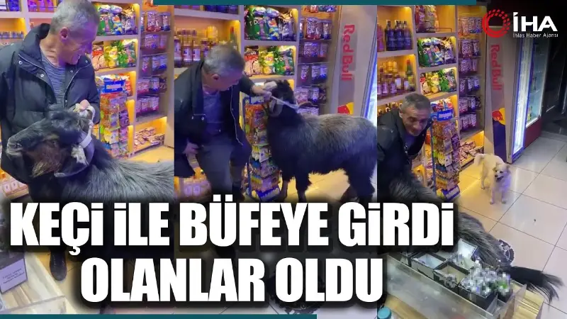 Trabzon'un Ortahisar ilçesindeki bir büfeye yanındaki keçi ile giren vatandaş,