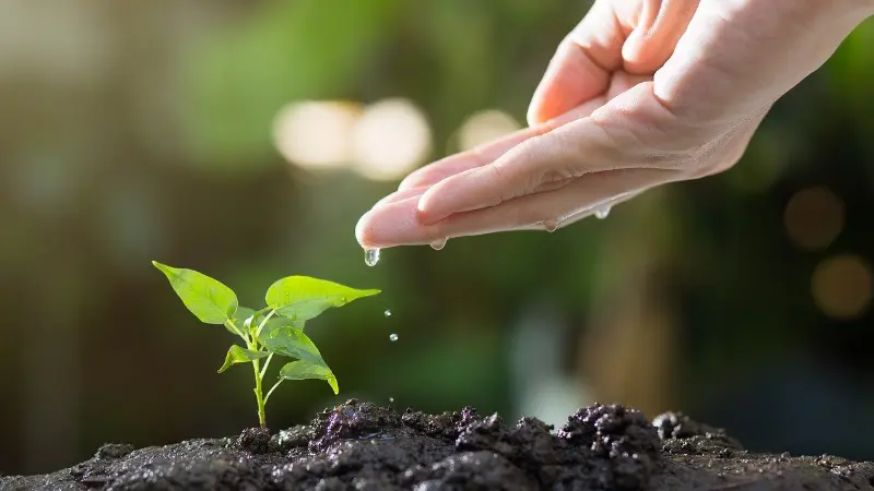Milas Belediyesi sürdürülebilir kırsal kalkınma anlayışıyla tarımsal faaliyetlere ve üreten