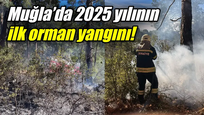 Muğla’nın Fethiye ilçesinde çıkış nedeni belirlenemeyen orman yangını itfaiye ve