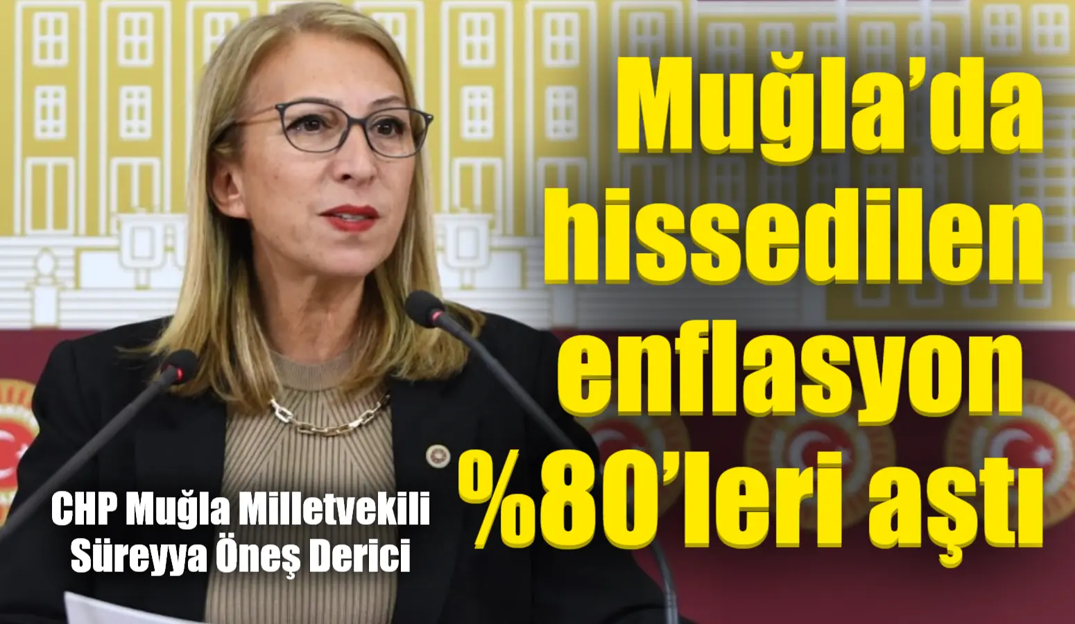 Cumhuriyet Halk Partisi Muğla Milletvekili Süreyya Öneş Derici, son açıklanan