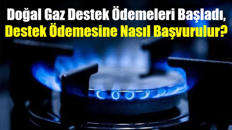 Aile ve Sosyal Hizmetler Bakanı Mahinur Özdemir Göktaş, 529 bin