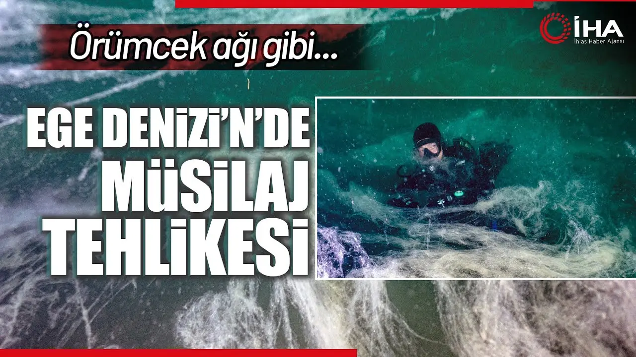 Bandırma Onyedi Eylül Üniversitesi Denizcilik Fakültesi Öğretim Üyesi Prof. Dr.