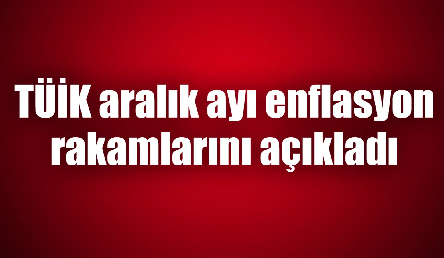 Türkiye İstatistik Kurumu (TÜİK) 2024 yılı aralık ayı Tüketici Fiyat