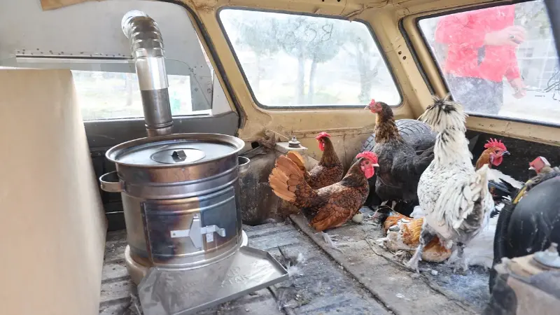Konya’da yumurtacılık yapan vatandaş, müşterilerine giderken ’gezen tavuk’ olması için