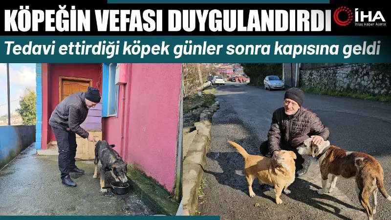 Zonguldak'ta emekli madenci Orhan Kuku’nun yaralı halde bulup tedavi ettirdiği