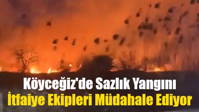 Köyceğiz’de Sazlık Yangını: İtfaiye Ekipleri Müdahale Ediyor Muğla'nın Köyceğiz ilçesinde, Köyceğiz Gölü kenarında bulunan sazlıklarda yangın çıktı.