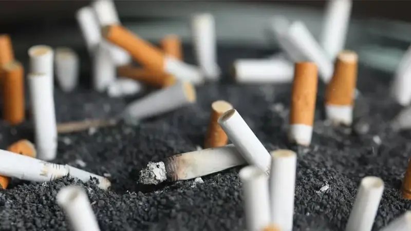 Ondokuz Mayıs Üniversitesi (OMÜ) Aile Hekimliği Ana Bilim Dalı Başkanı