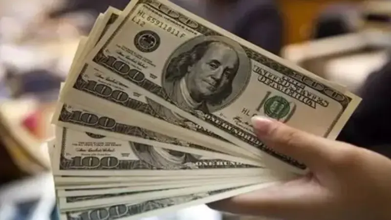 Bankacılık Düzenleme ve Denetleme Kurumu (BDDK), il bazındaki döviz zenginlerini