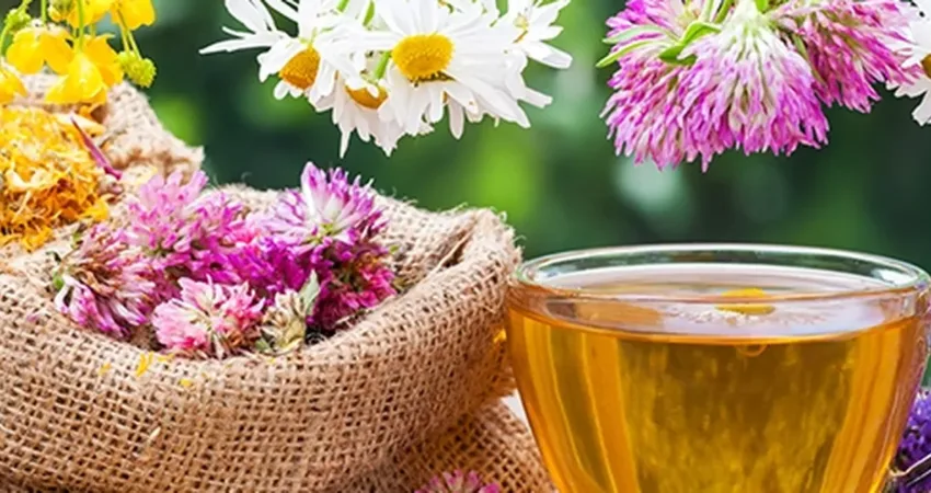 Midemize hangi bitki çayları iyi gelir? Uzman Diyetisyen Didem Yıldız Küçük konu hakkında bilgiler verdi.