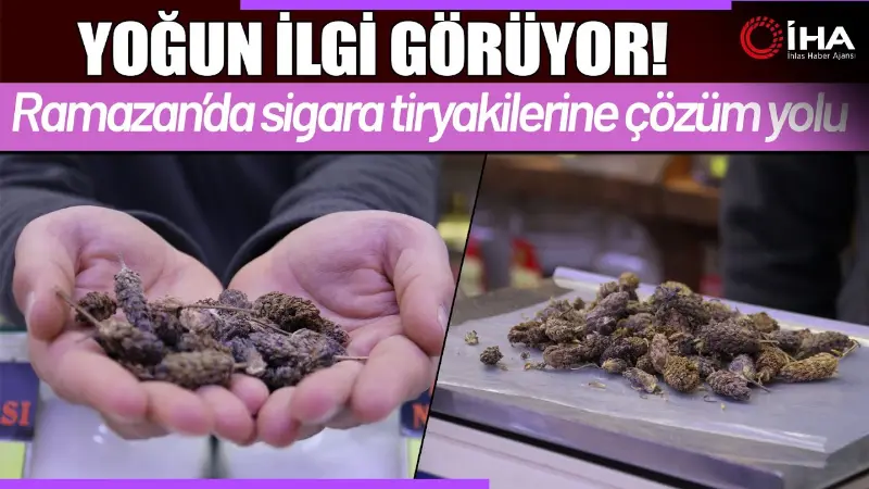 Sigara içme isteğini azaltan karabaş otu, Ramazan ayında yoğun ilgi