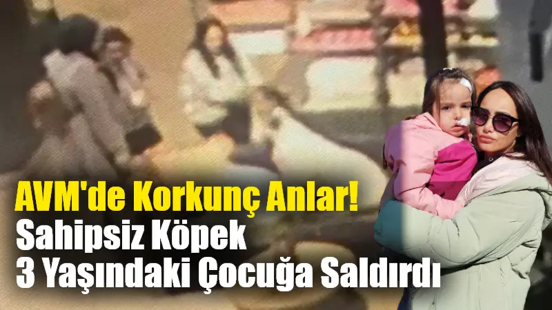 İzmir'deki bir AVM'de sahipsiz bir köpek, annesiyle alışverişe çıkan 3