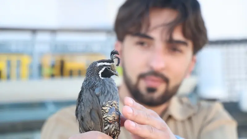 Elazığ'da üniversite öğrencisi Hüseyin Göksel Karabulut, yumurta olarak getirttiği egzotik