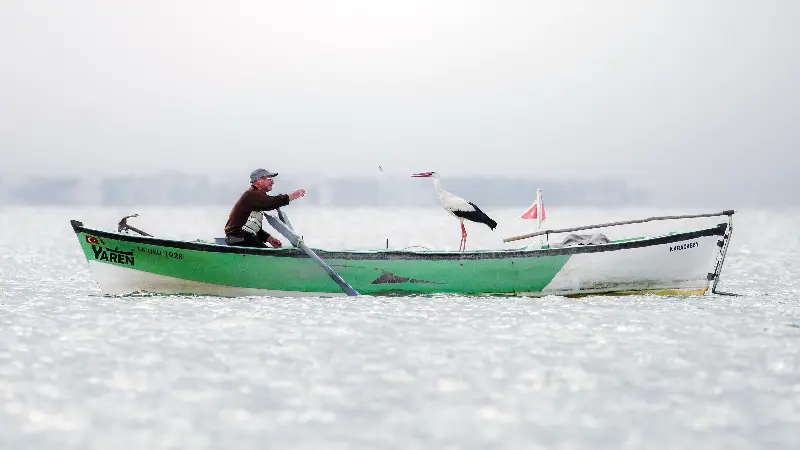 İspanya’da bu yıl 34.sü düzenlenen Uluslararası Leylek konulu fotoğraf yarışmasında