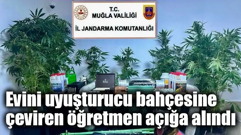 Evini uyuşturucu bahçesine çeviren öğretmen açığa alındı Muğla'nın Kızılağaç Mahallesi'nde narkotik operasyonunda evinde kenevir yetiştirme düzeneği ele